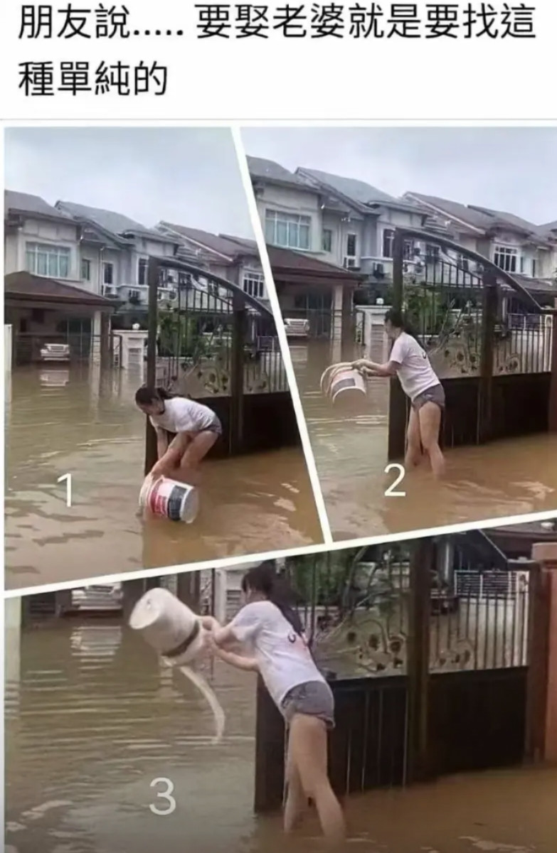 这不是单纯，这是单蠢