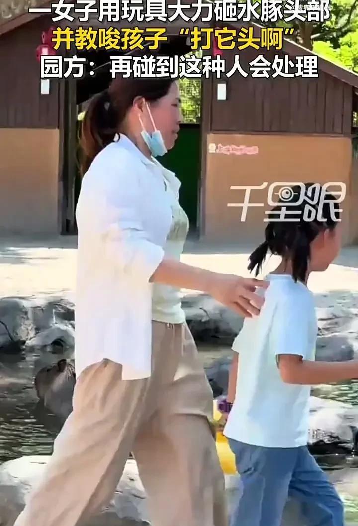 被这样的家长气无语了！7月3日，上海野生动物园内，一名女子带女儿去看水豚时，故意