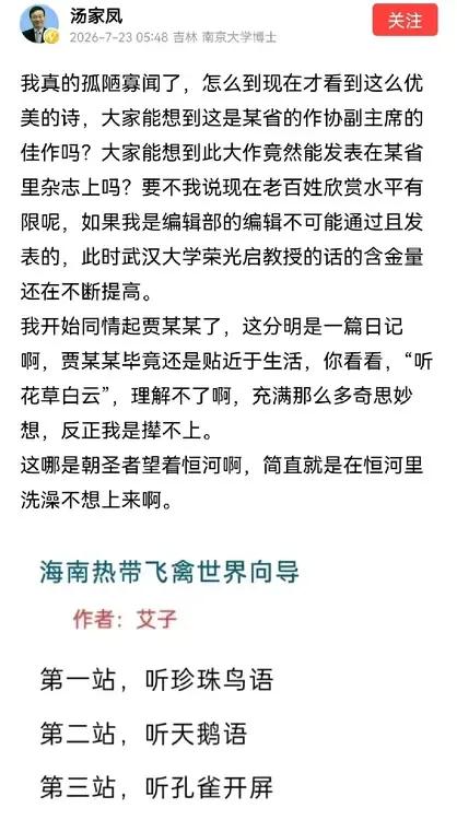 汤家凤又开始拿先锋诗人艾子开刀了！7月23日，汤家凤发动态表示，海南作协副主