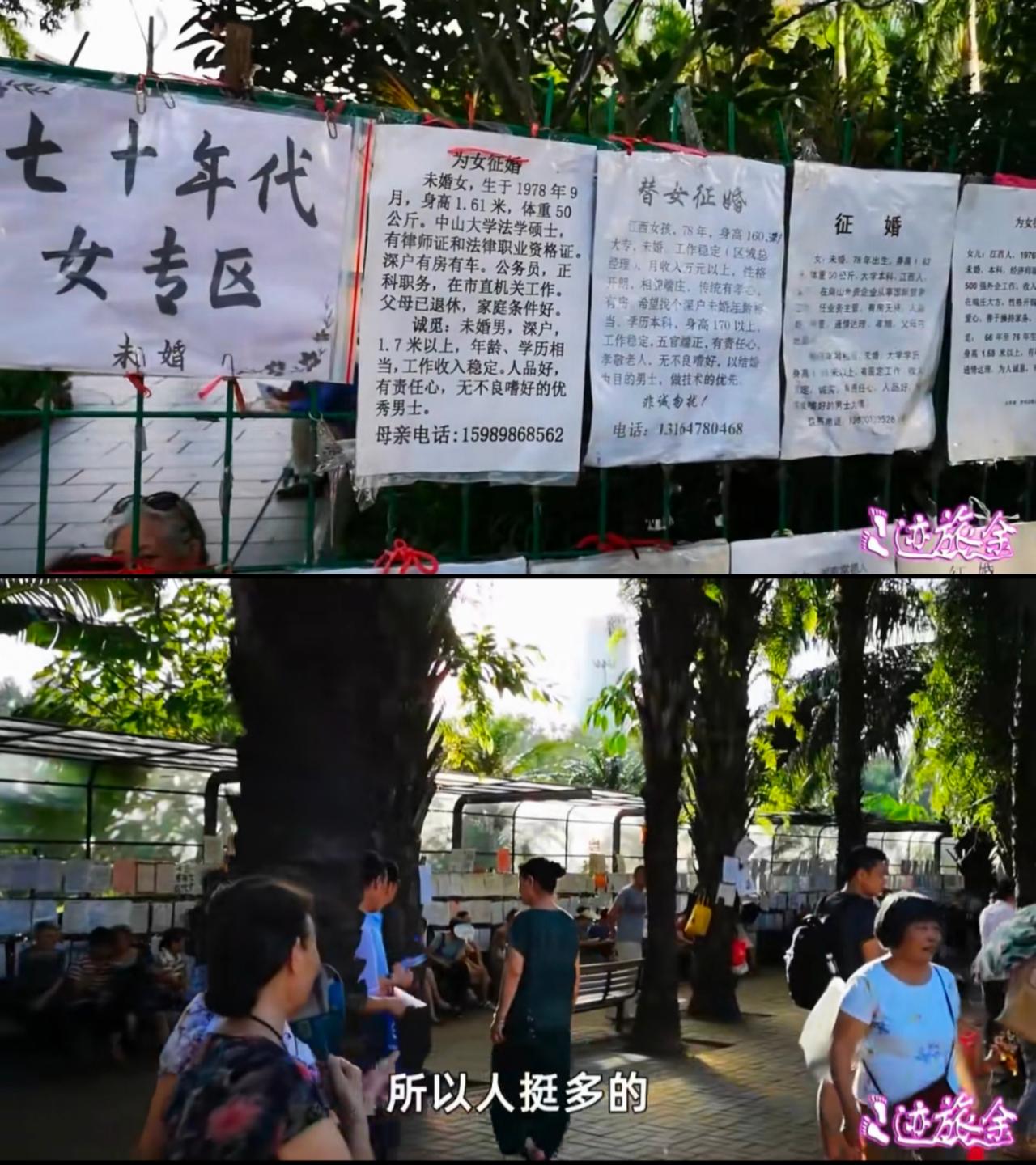 去了深圳公园相亲角，才真实体会当下相亲市场现状。相亲角80%是父母、甚至爷爷奶奶