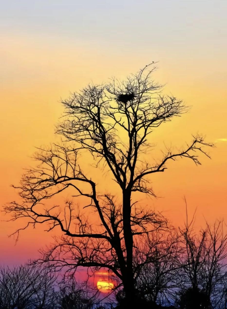 2025年即将结束，回首这一年，你是不是因为经历过一些失败，有过几次情绪崩溃，于