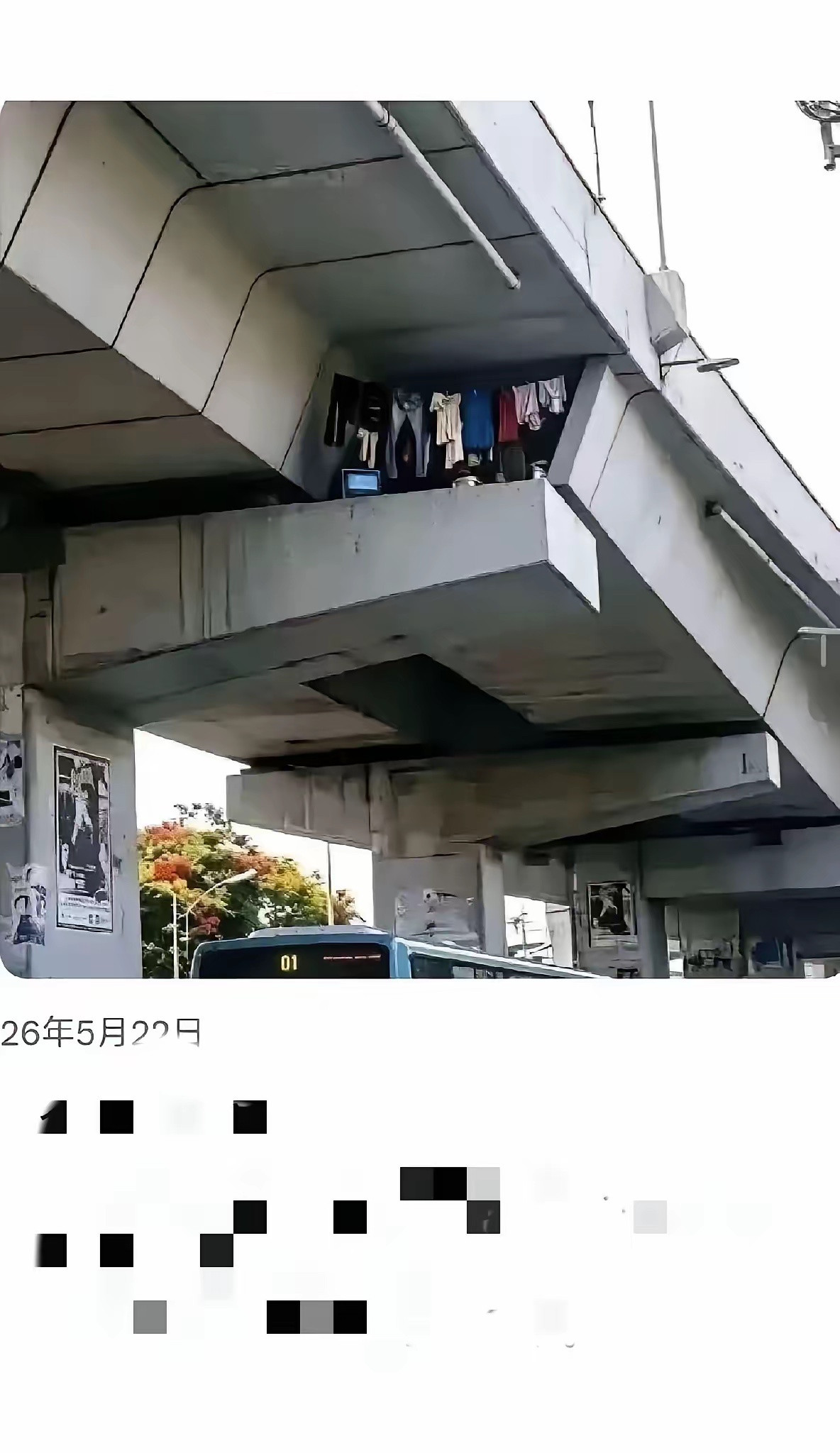 房子都不用买了