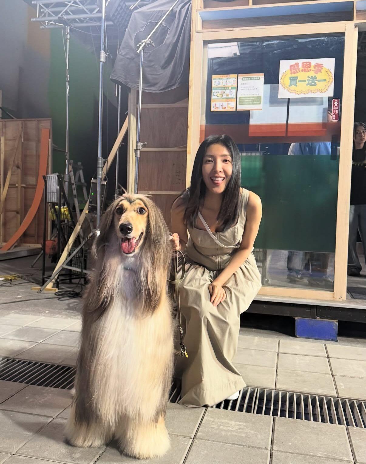 犬系美女​​​