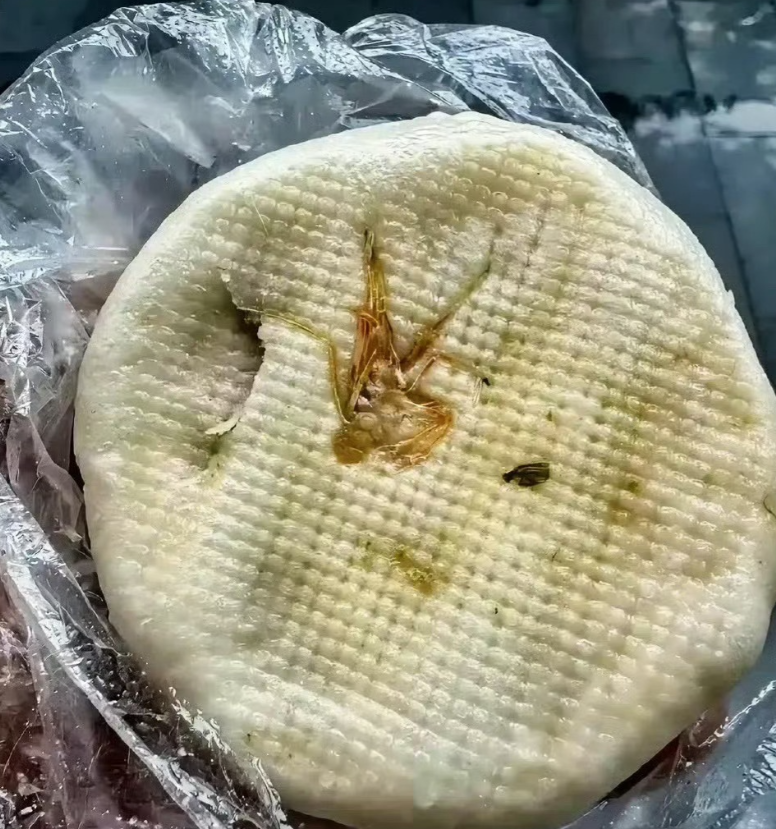 早上买个包子，刚想吃就看到了，这是啥玩意儿？