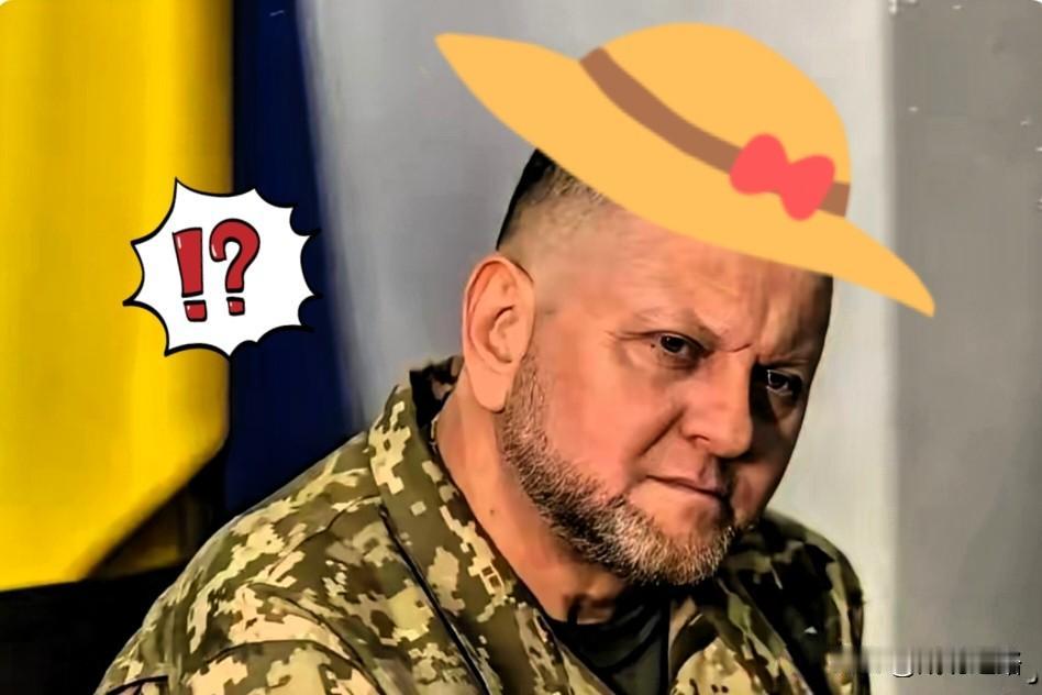 扎卢日内这番话，真让人后背发凉！他说乌克兰一旦停火，搞不好立马就是内战。