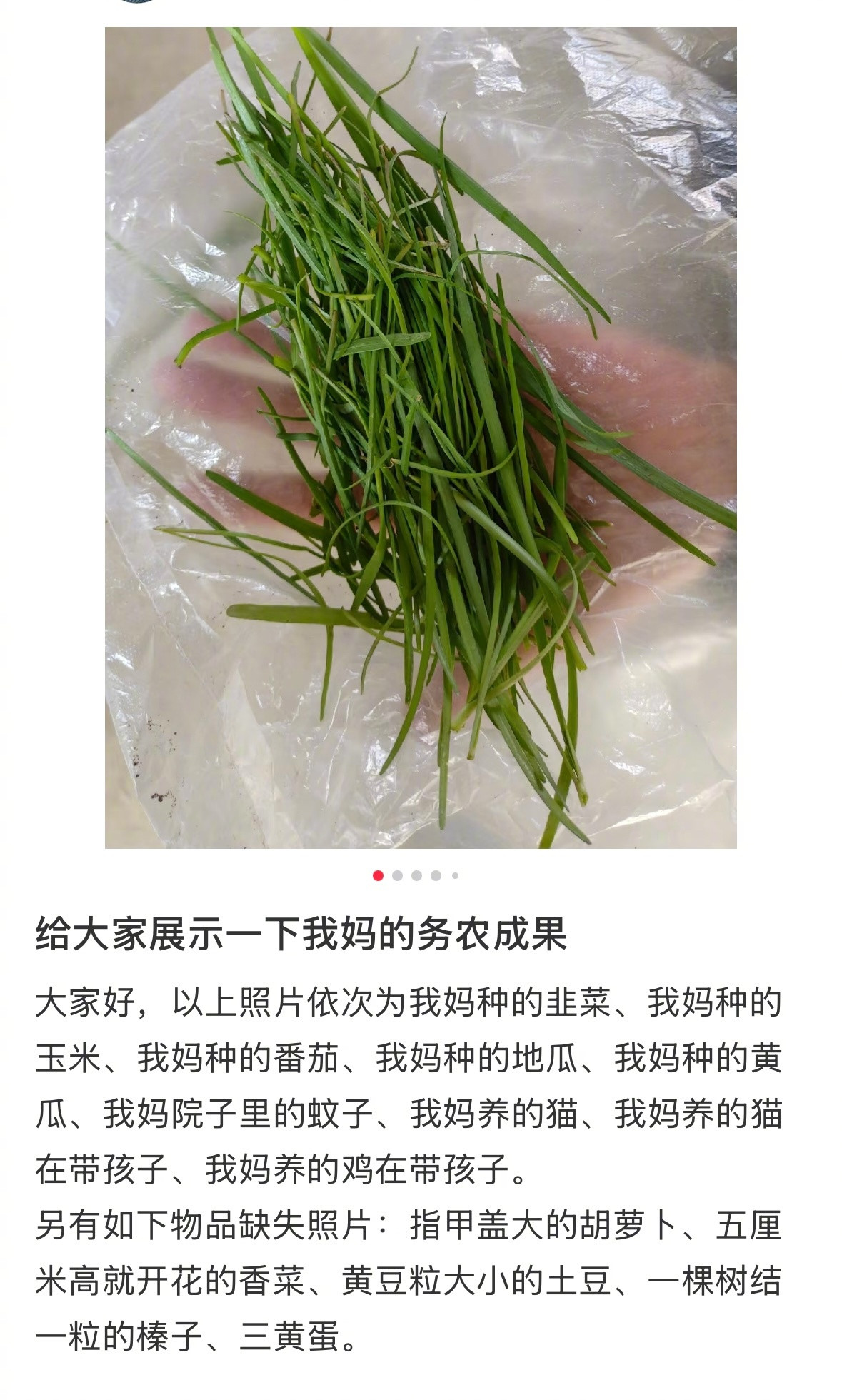 我妈适合当御兽宗的弟子