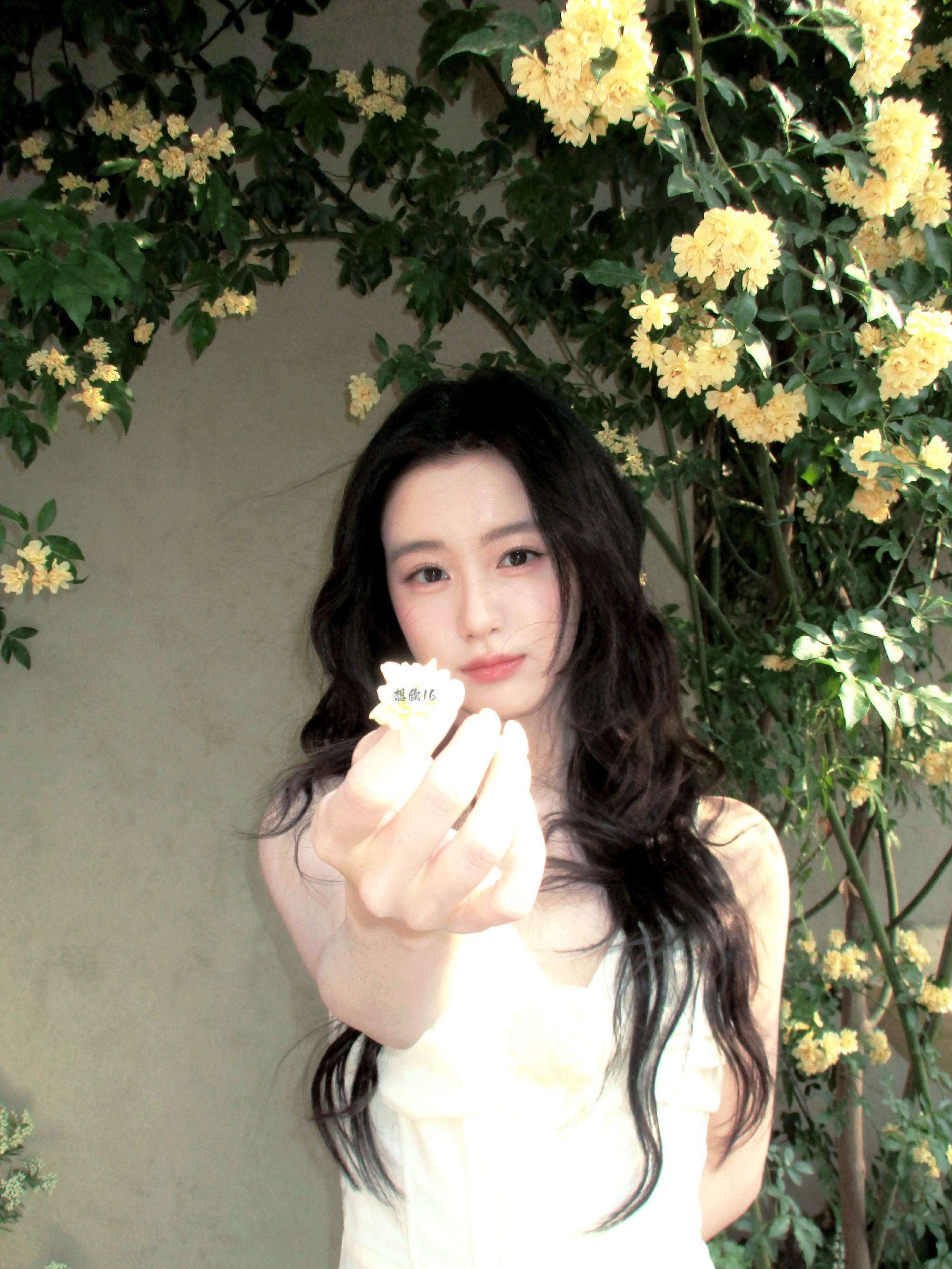 包上恩💛包上恩窈窈有期💛包上恩任瑶期生命不泯灭于泛泛我于绿意中重生