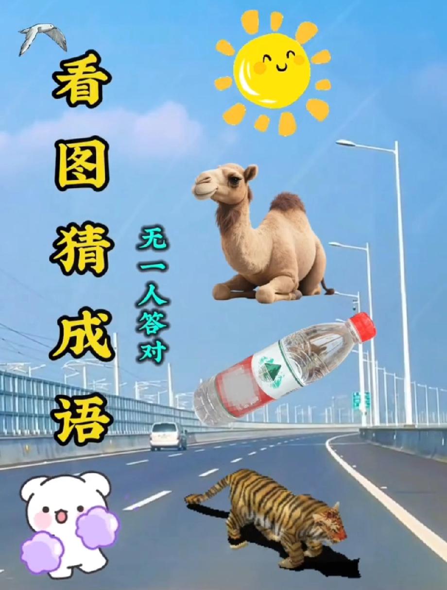 太阳、骆驼、矿泉水、老虎，打一成语？