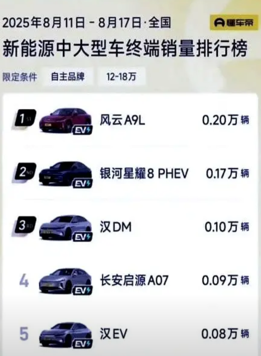 比亚迪第一次卖不动，你慌不慌？2025年上半年，比亚迪卖了189万辆，数字比