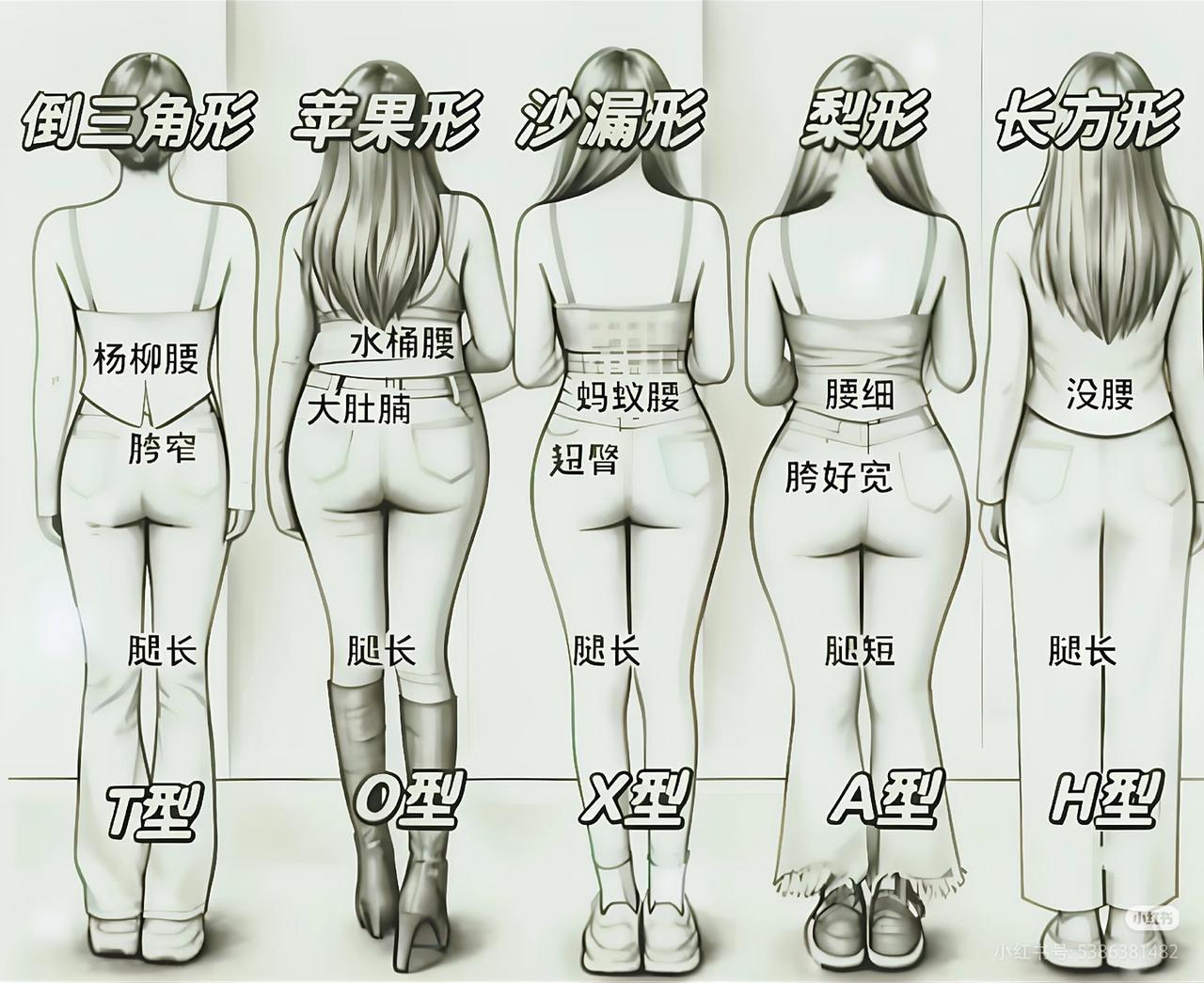 想知道大众喜欢什么样的身型？