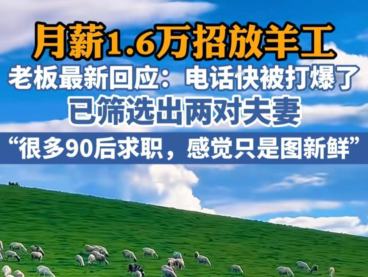 月薪1.6万放羊，电话打爆了，真有人敢去？月薪1.6万的放羊工作，全网抢着报