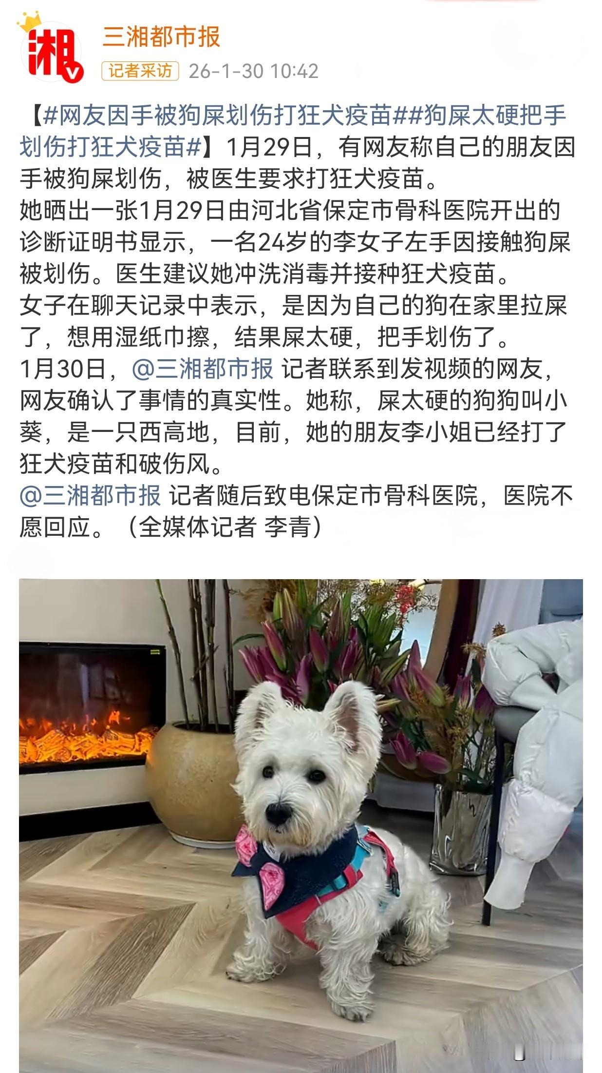 女子清理宠物狗粪便时被硬粪便划伤手部后，医生让其接种狂犬疫苗🤭🤭🤭河北保