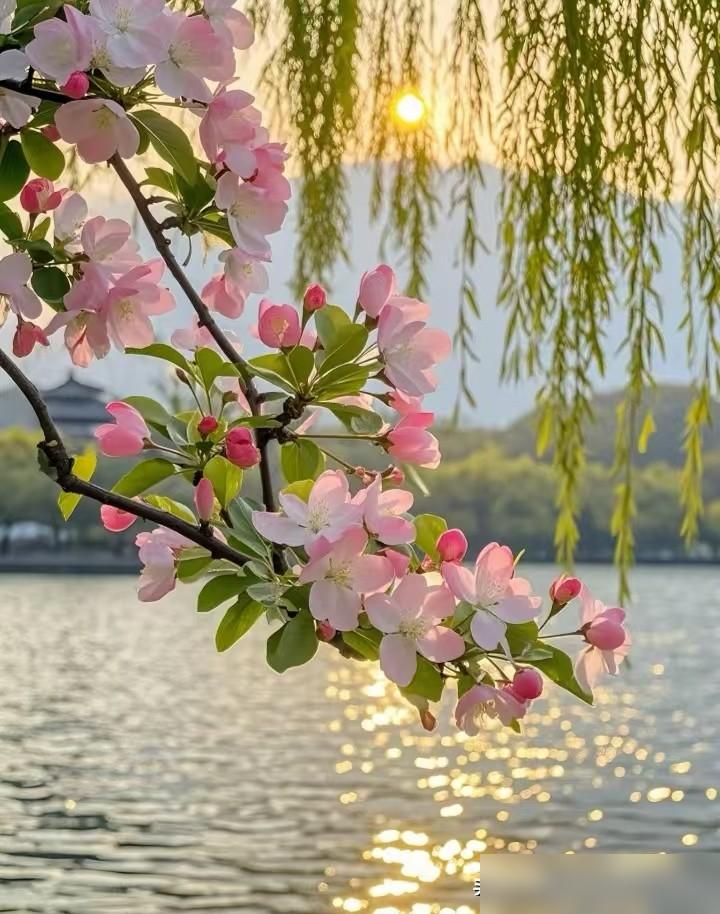 人生九大智慧:​第一、守相。就是不要见人就笑。​第二、离相。就是别被表面