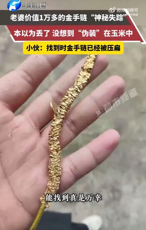 运气真好!10月22日,安徽淮北,一女子晒玉米时,手上价值一万多的金链子不慎掉落
