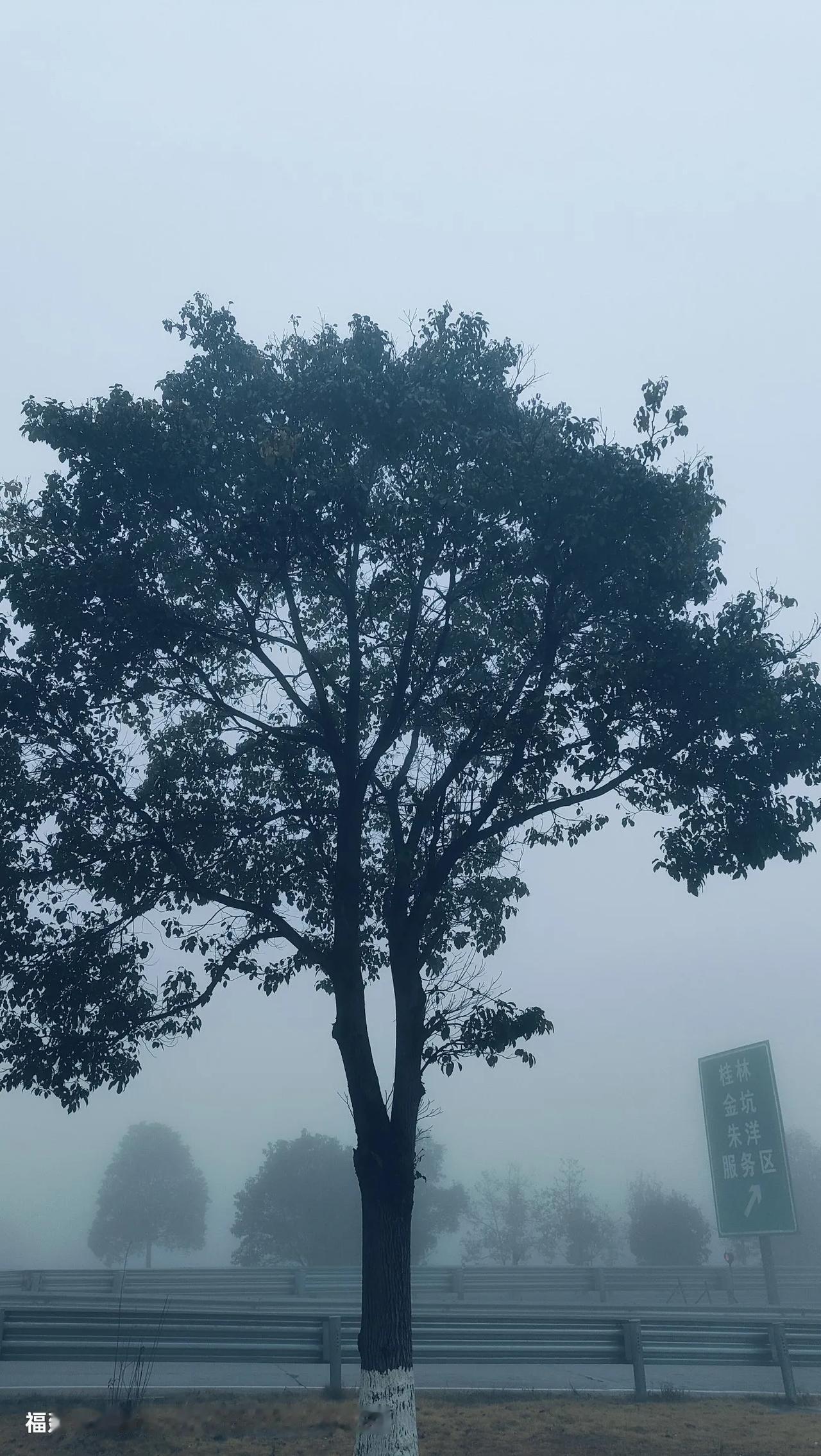 每年的11月，都是老师的渡劫月，尤其是班主任！第一，每年的11月，所有的老师