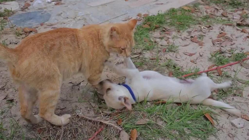 588687686149532130.jpg?id=0