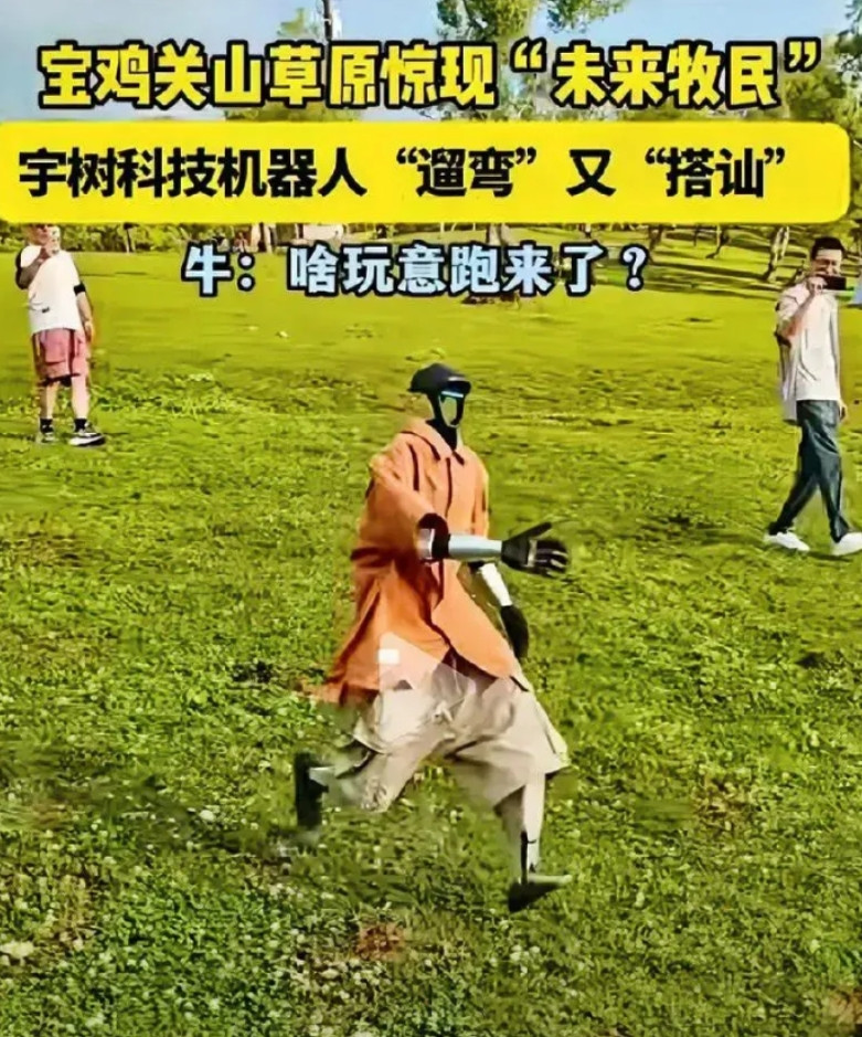 玉树机器人测试草地放牧，人类以后还能做什么？牛吓得赶紧跑：大白天看见无头鬼了！
