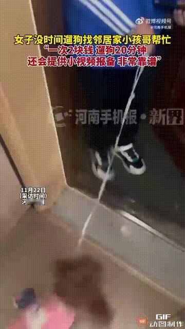 这名女子真是太聪明了！河南郑州一名女子家里养了一只小狗，但她却没时间下楼遛狗，可