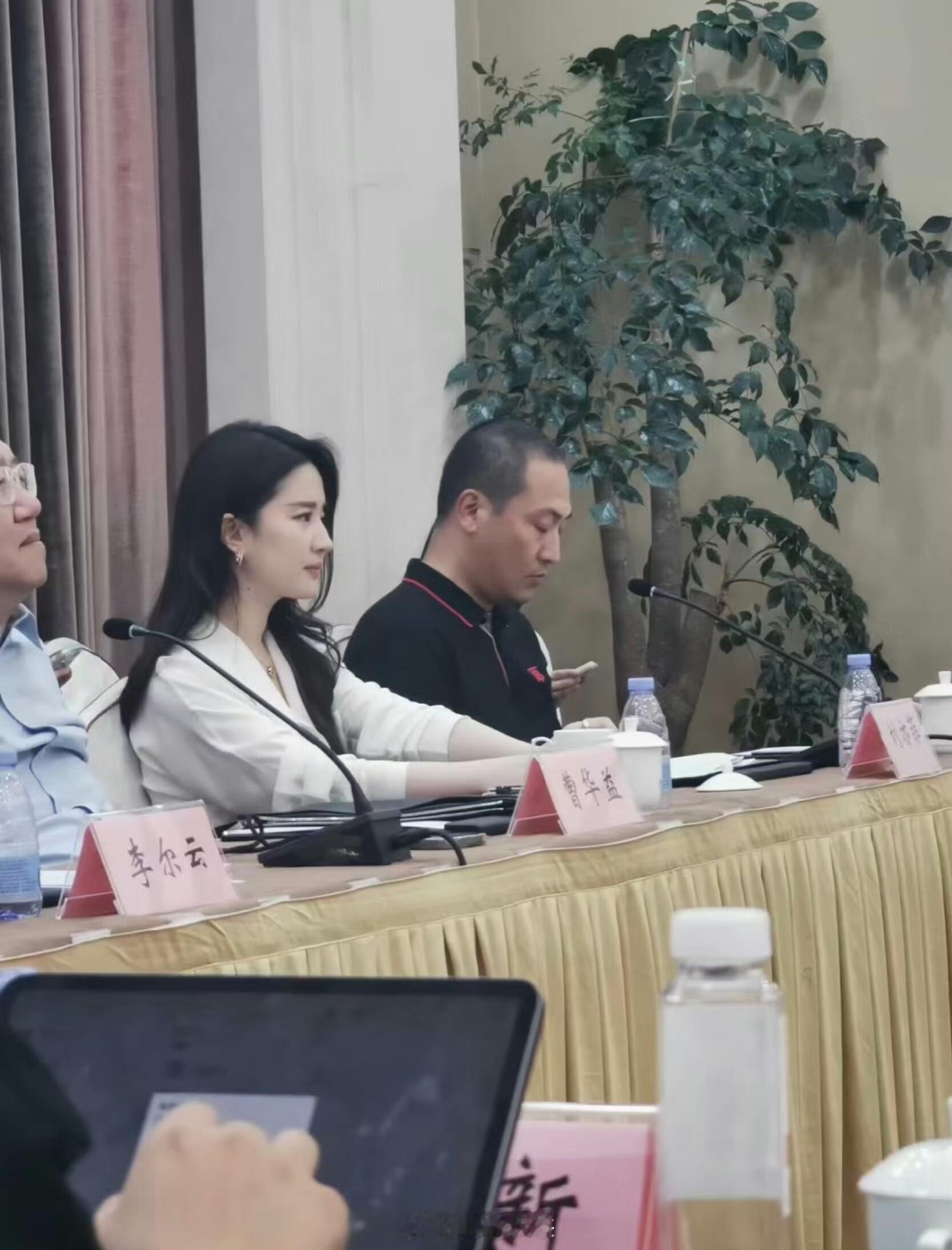 央里央气的刘亦菲