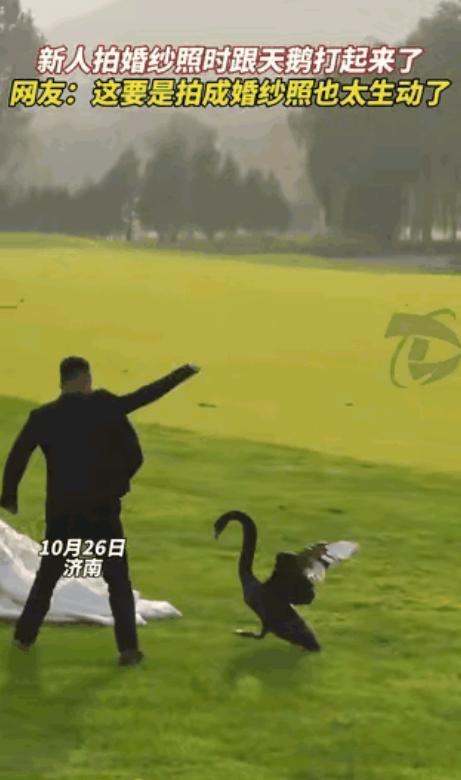 “这下真解释不清了!”10月26日,济南一对新人结婚,准备在一公园里拍婚纱照,结