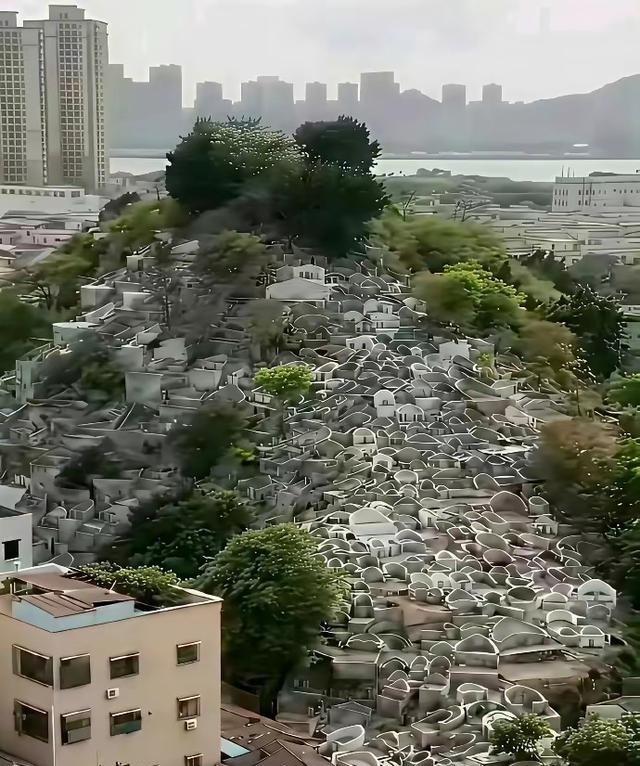 从有土葬开始中国死了几十亿人，耕地也没被塞满！占山头、卖墓穴是从火葬开始的。说白
