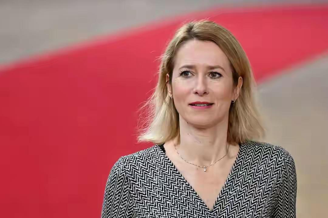 欧盟外长最新表态：没有任何欧洲国家，能跟中国单挑！现场全沉默。你就是傻吗？现在美