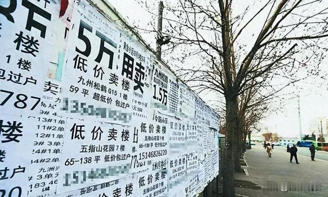 理想很丰满，现实很骨感💔2019年"五万买套房"的新闻让鹤岗成了躺平圣地，可