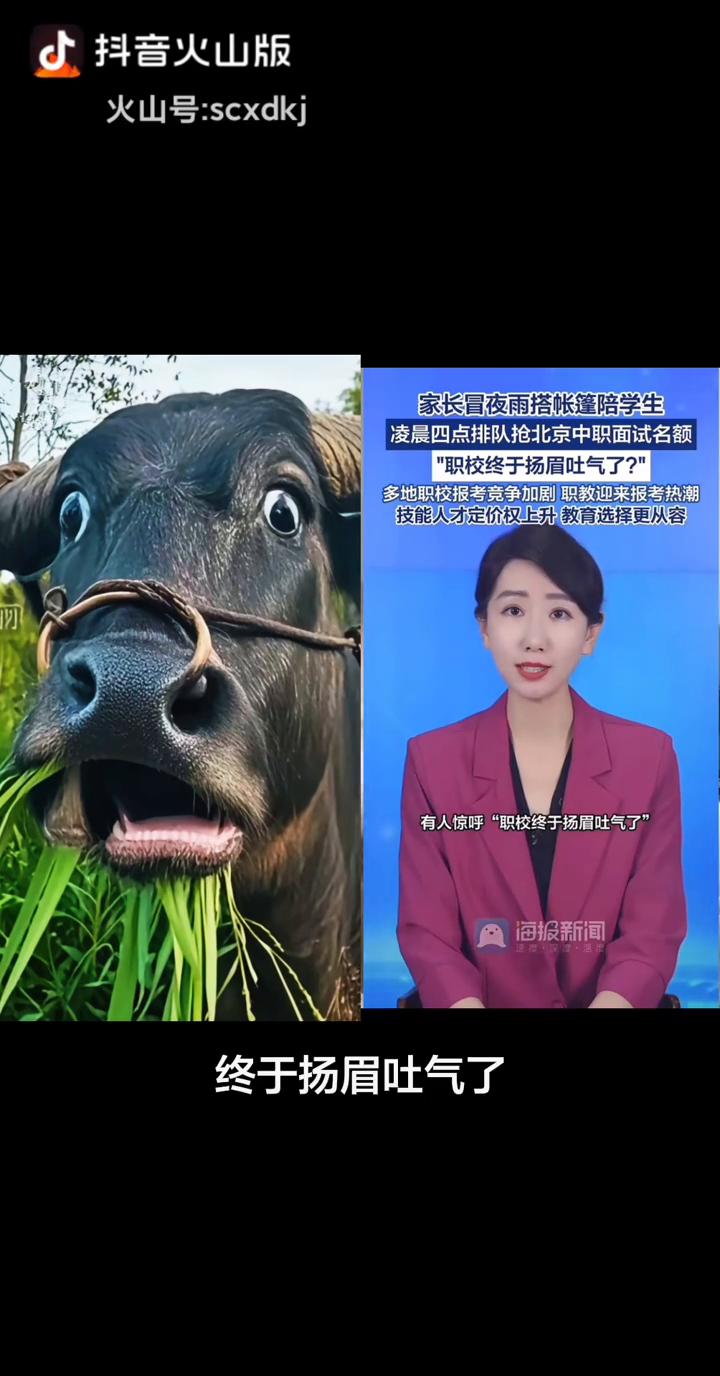 职业高中为何突然火了起来？曾经家长和学生们看都不看一眼的职高突然间就变得抢手起
