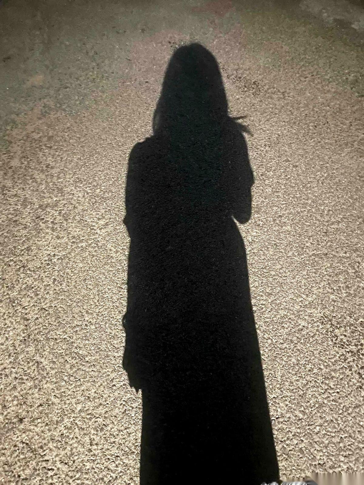 那年雪下得贼大，我姐，一个刚提拔的部门一把手，用围巾把自己裹得跟个见不得人的特务