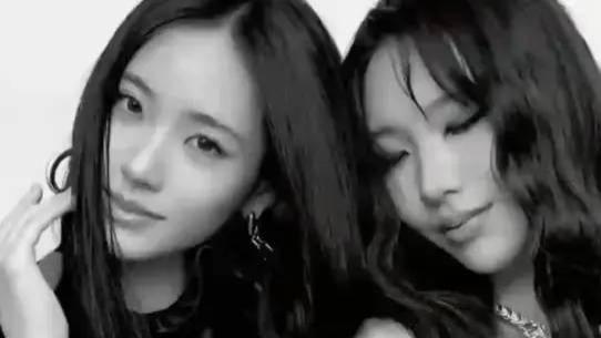 小S双胞胎女儿诠释姐妹情深，大小S家风成榜样