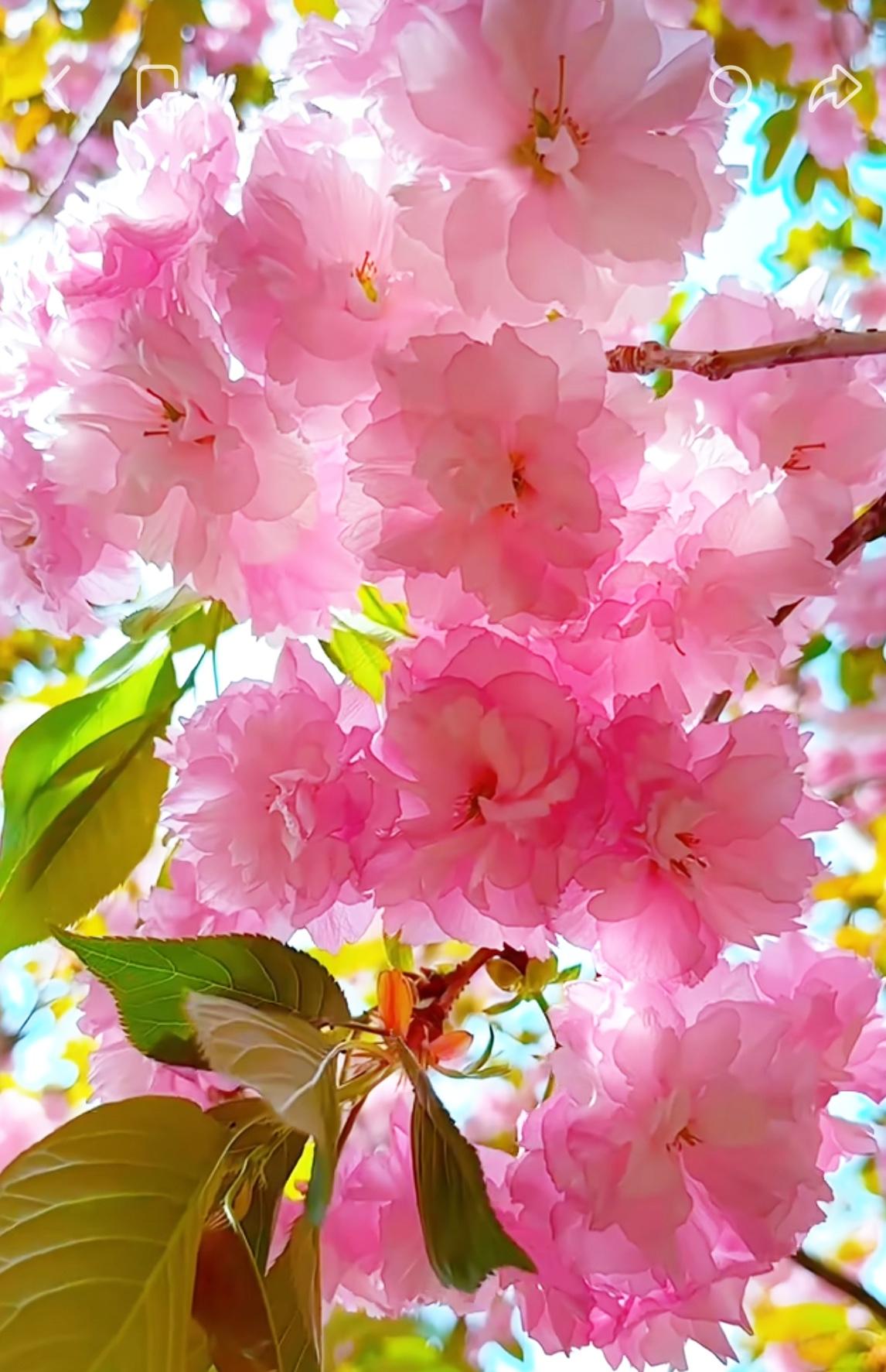 如果你有退休金，​并且子女找了外省的伴侣，那我奉劝你一句：老了尽量跟着子女走，