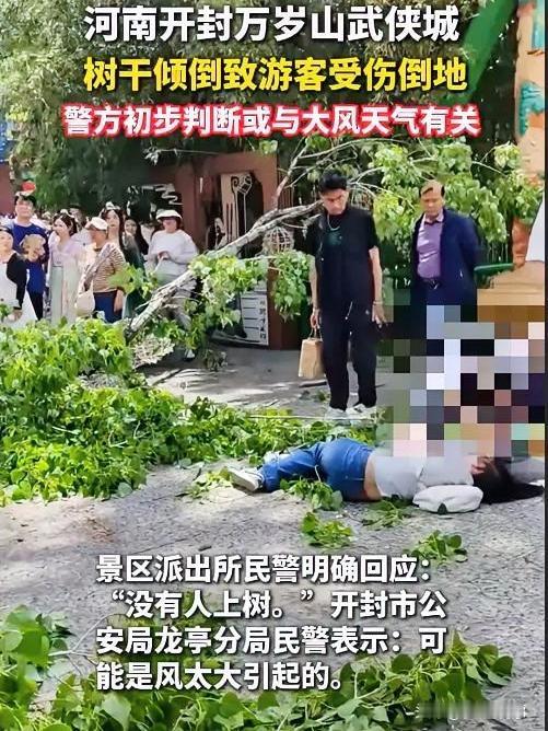 景区杨树下的惊魂瞬间……谁能想到，景区里乘凉的一片树荫，竟会暗藏凶险！