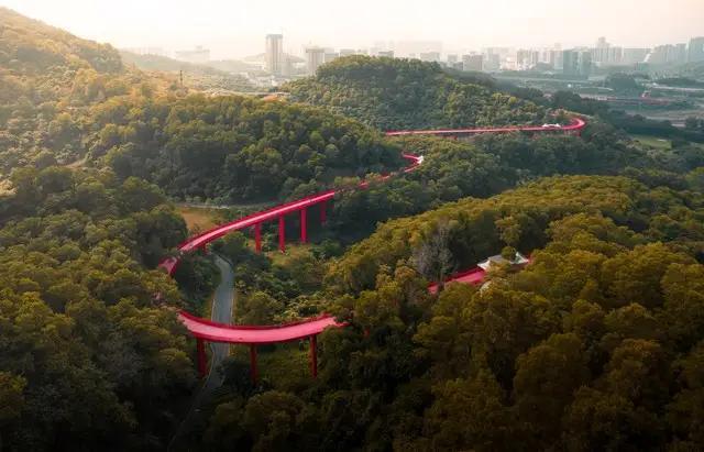 深圳光明新区有一座特别的桥，红色的，叫深圳红桥。由华侨城出资打造的，桥宽5米，