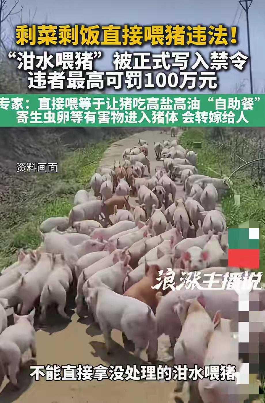 现在用泔水喂猪可能违法。2026年8月15日《中华人民共和国生态环境法典》实施，