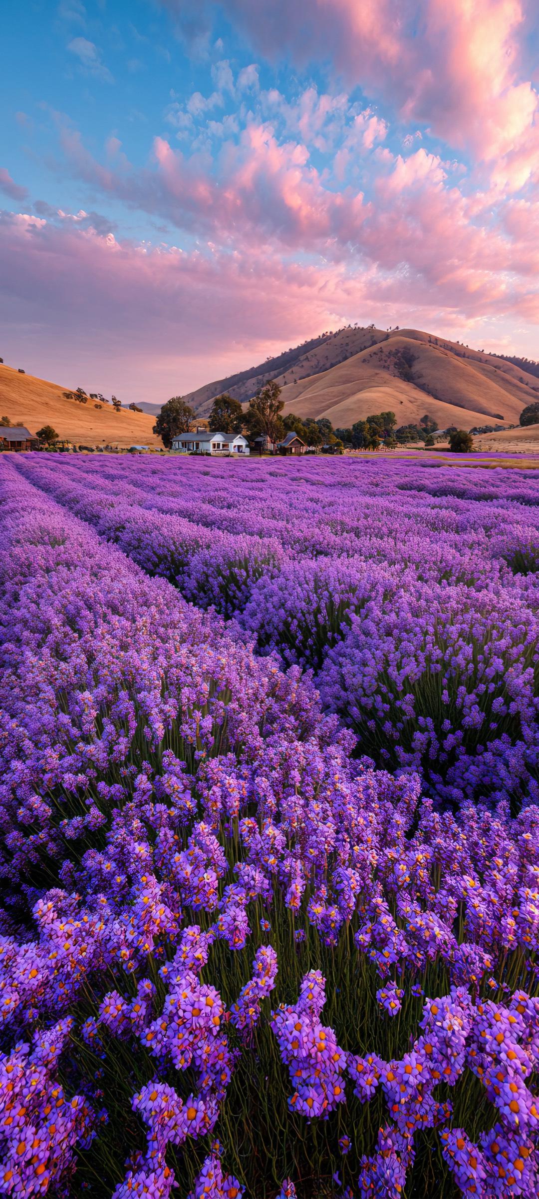 每日精选高清全屏手机壁纸【732期】|青云直上步步繁花～美图壁纸共享赏心悦