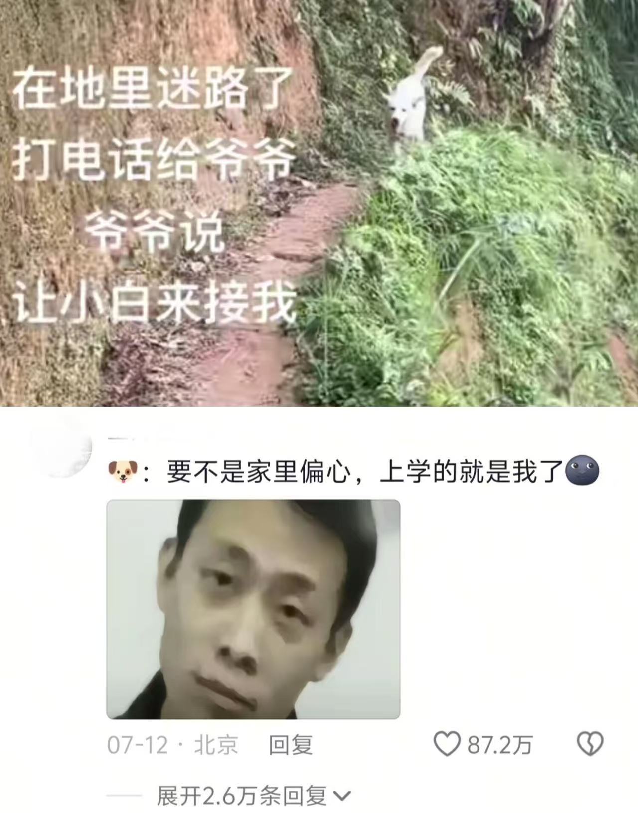 🐶：要不是家里偏心，上学的就是我了哈哈我的精神状态凉好​​​
