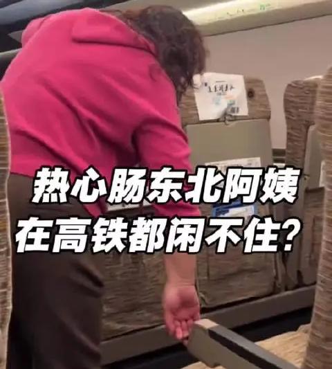 东北人都是活雷锋，列车工作人员估计得偷着乐了。一位东北阿姨坐高铁，闲来无事主动