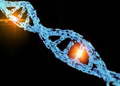 Nature子刊：发现人类基因突变的“启动开关”！近日，发表在《自然-通讯》（N