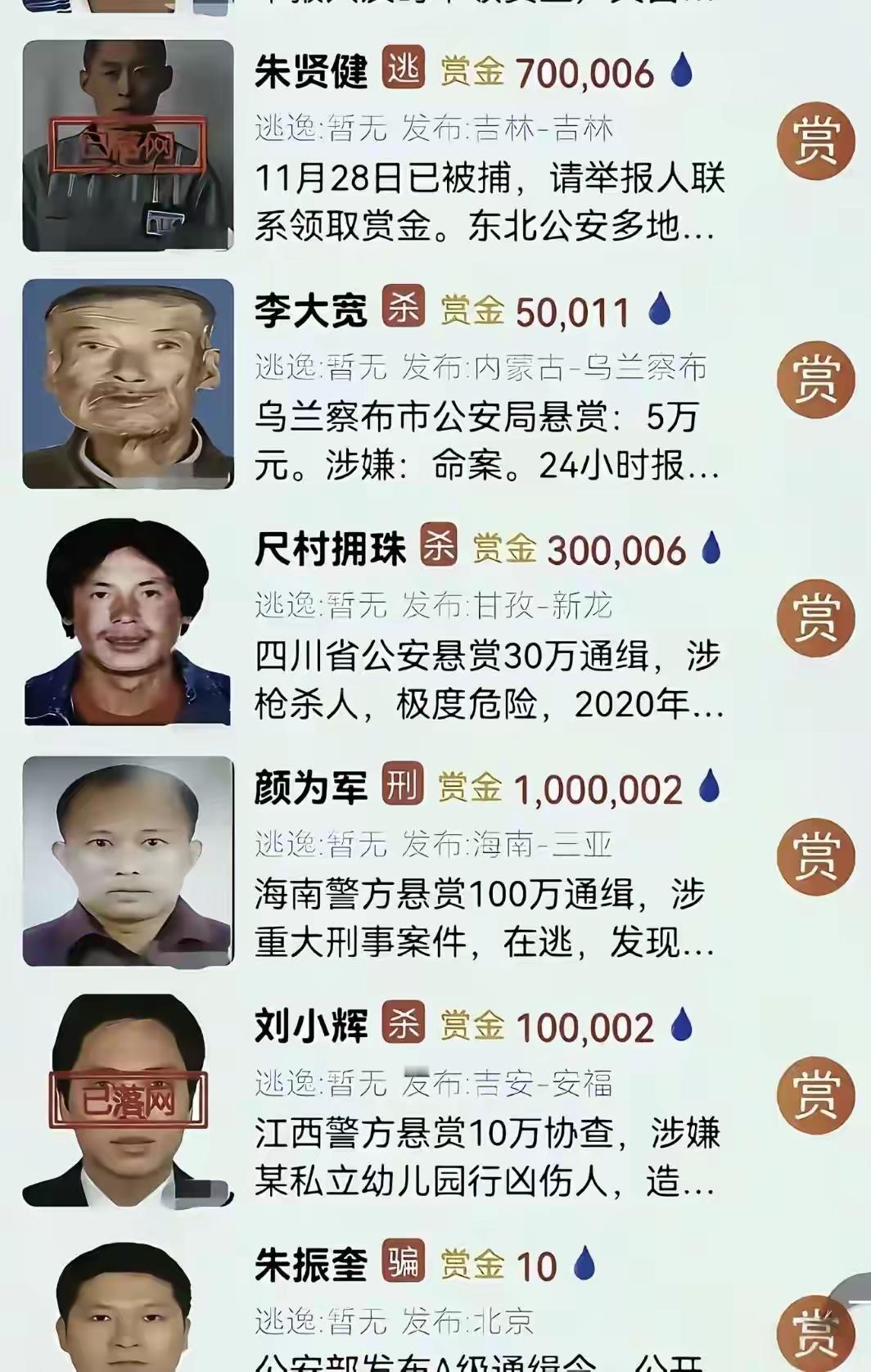 万花丛中一点绿[doge]