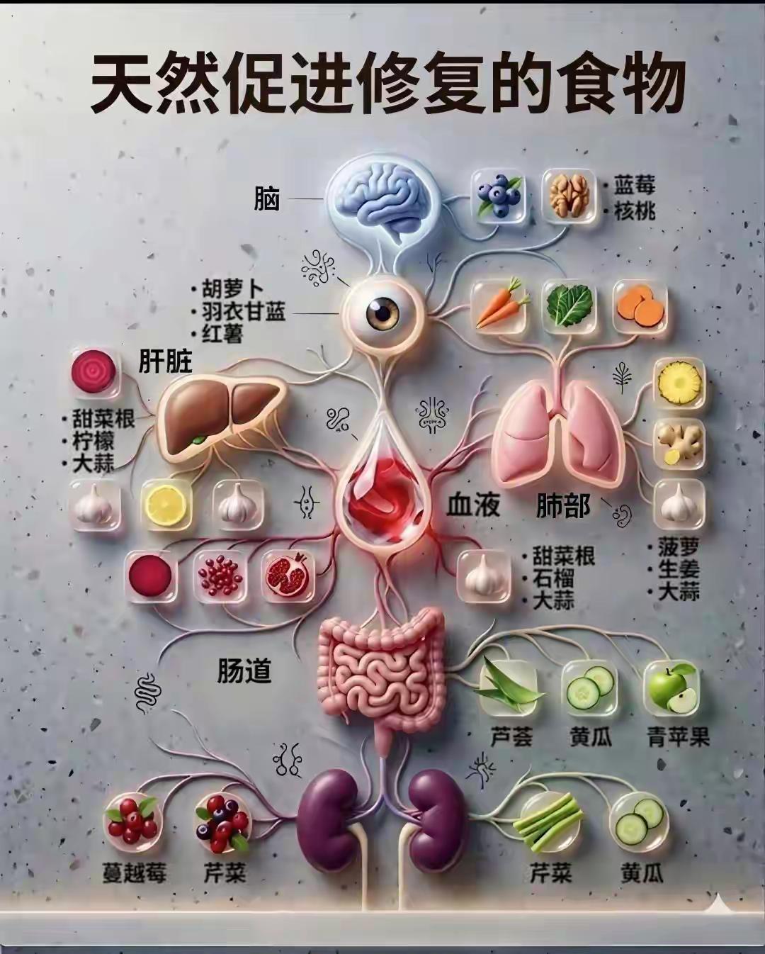 蔓越莓&芹菜修复右肾，黄瓜&芹菜修复左肾。修复左肾和右肾居然要用不同的食材！