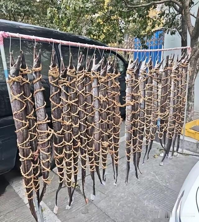 为了防猫咪偷吃，主人也是拼了[捂脸哭]