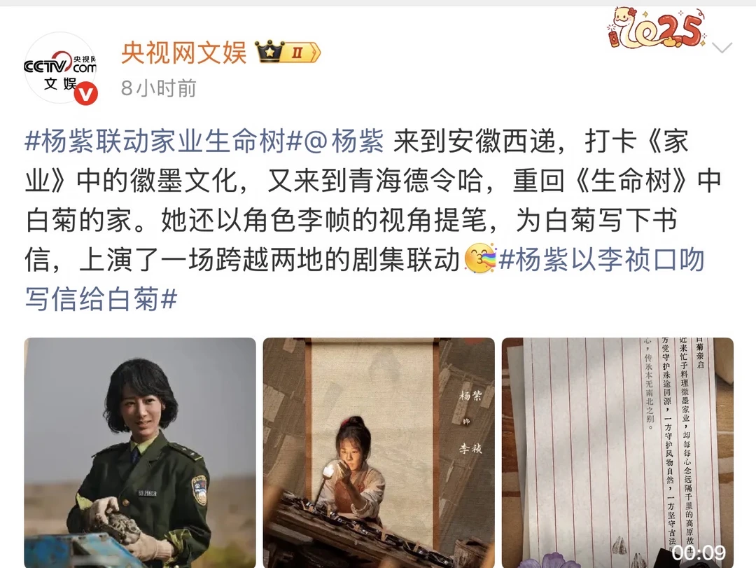 我发现央妈天天打call杨紫800遍！