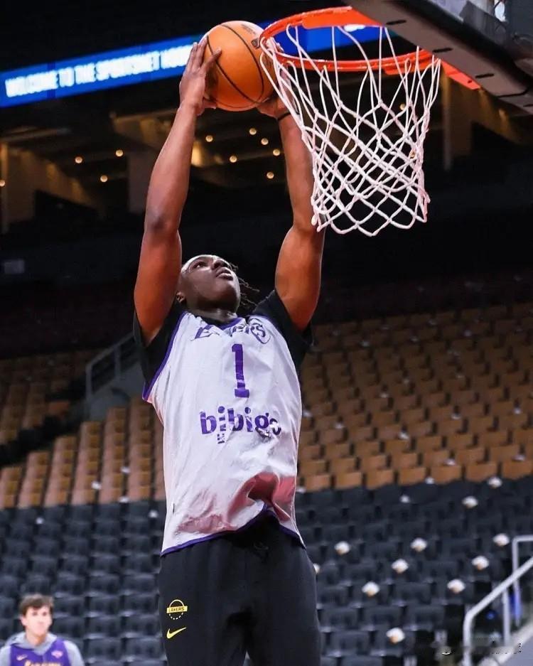 我强烈建议湖人新秀蒂耶罗主动申请交易！在今天湖人主场以106：128惨败于活塞的