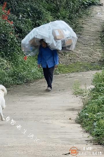 看哭了！老奶奶出去捡废品，狗狗看见奶奶背着废品，立马狂奔过去帮忙，这样的狗狗懂事