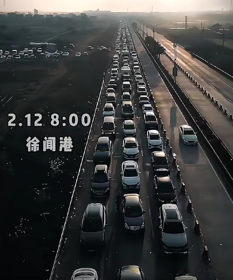 你还敢去海南过年吗？今早8点的徐闻港，直接把我看傻了。进港的车龙一眼