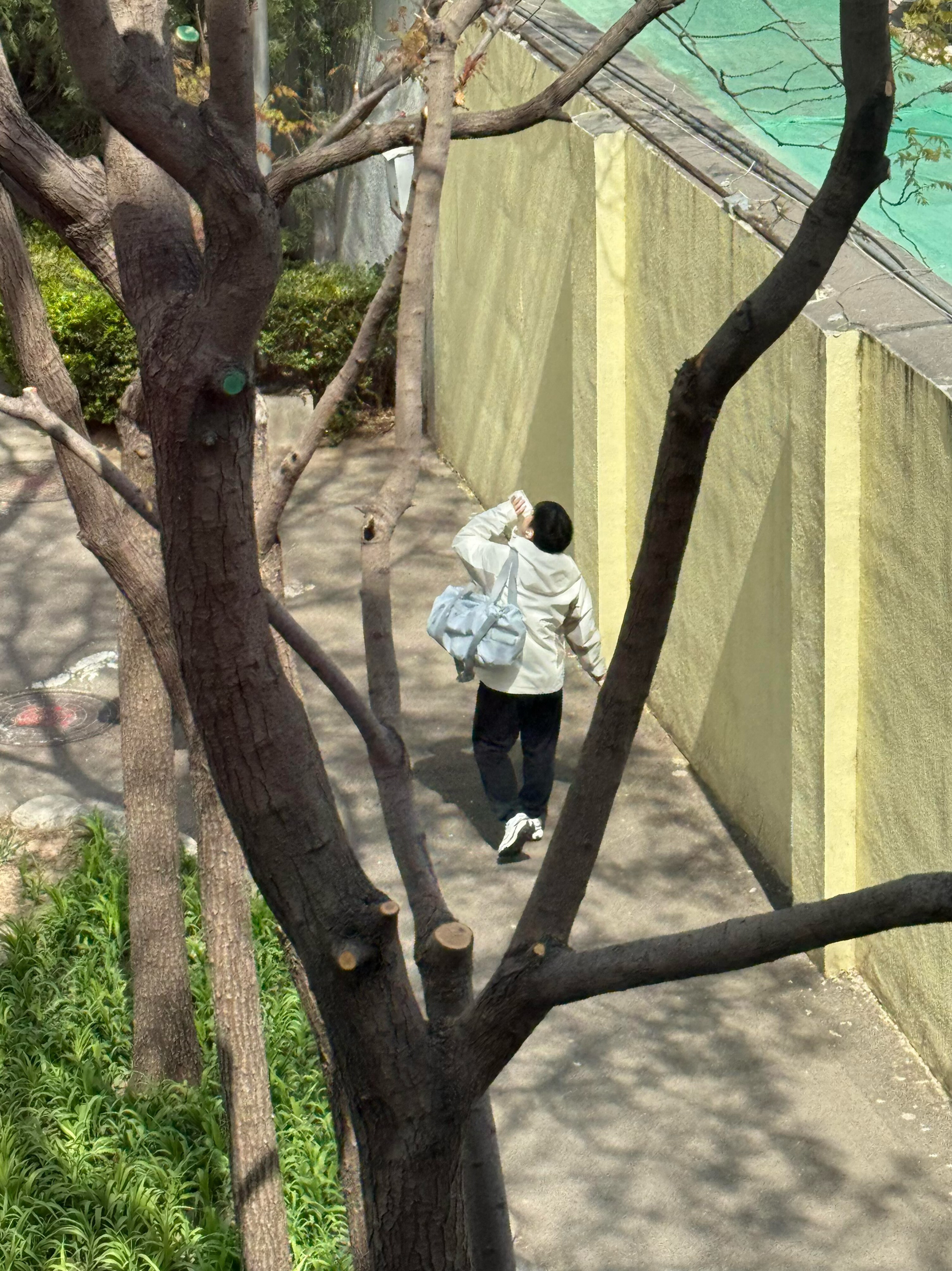 25年的宝宝🍼​​​