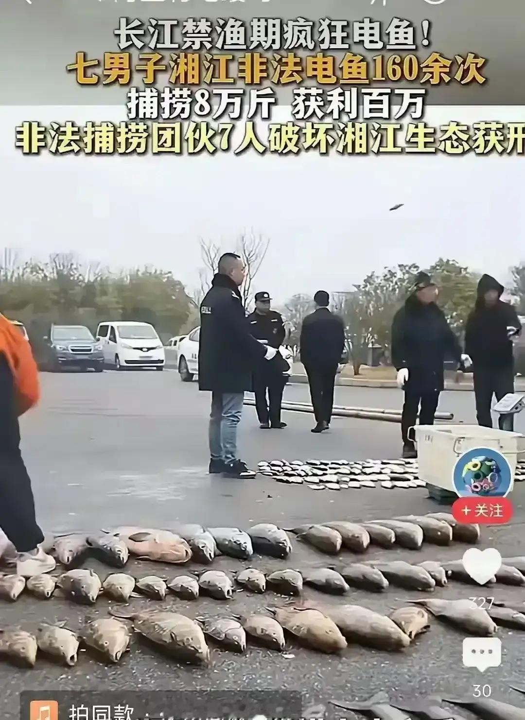 7个人开着改装铁壳船，夜里溜进湘江衡阳段，把发电机往水里一插，电流一过，鱼翻肚就