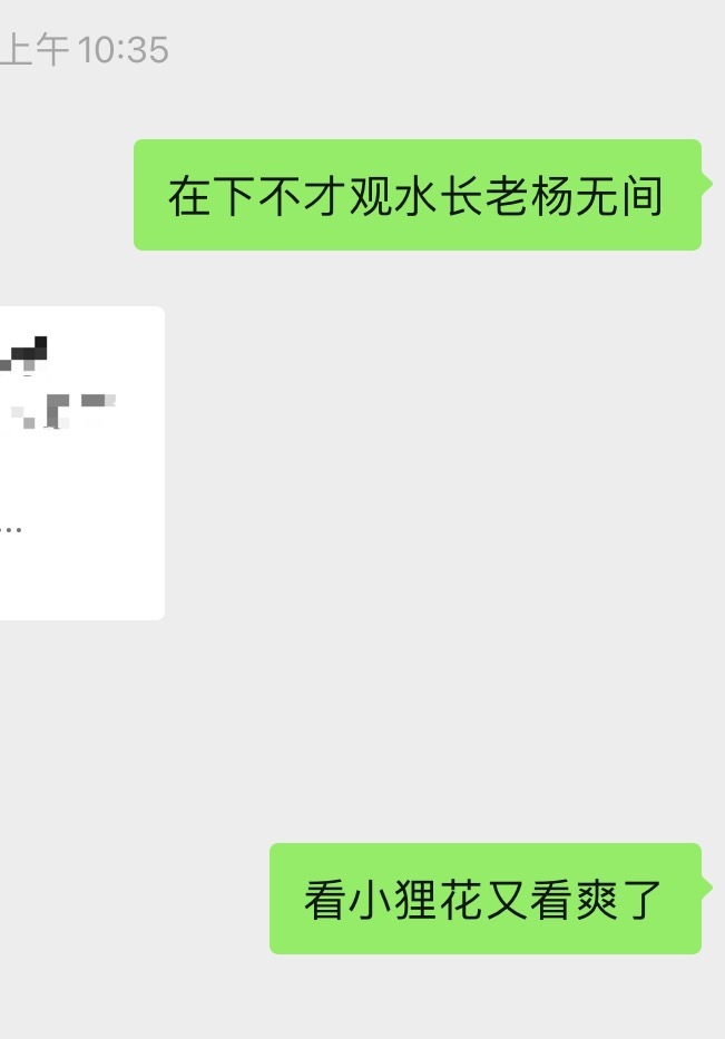 其实我本来早上在纯欣赏小狸花无间猫的！！！