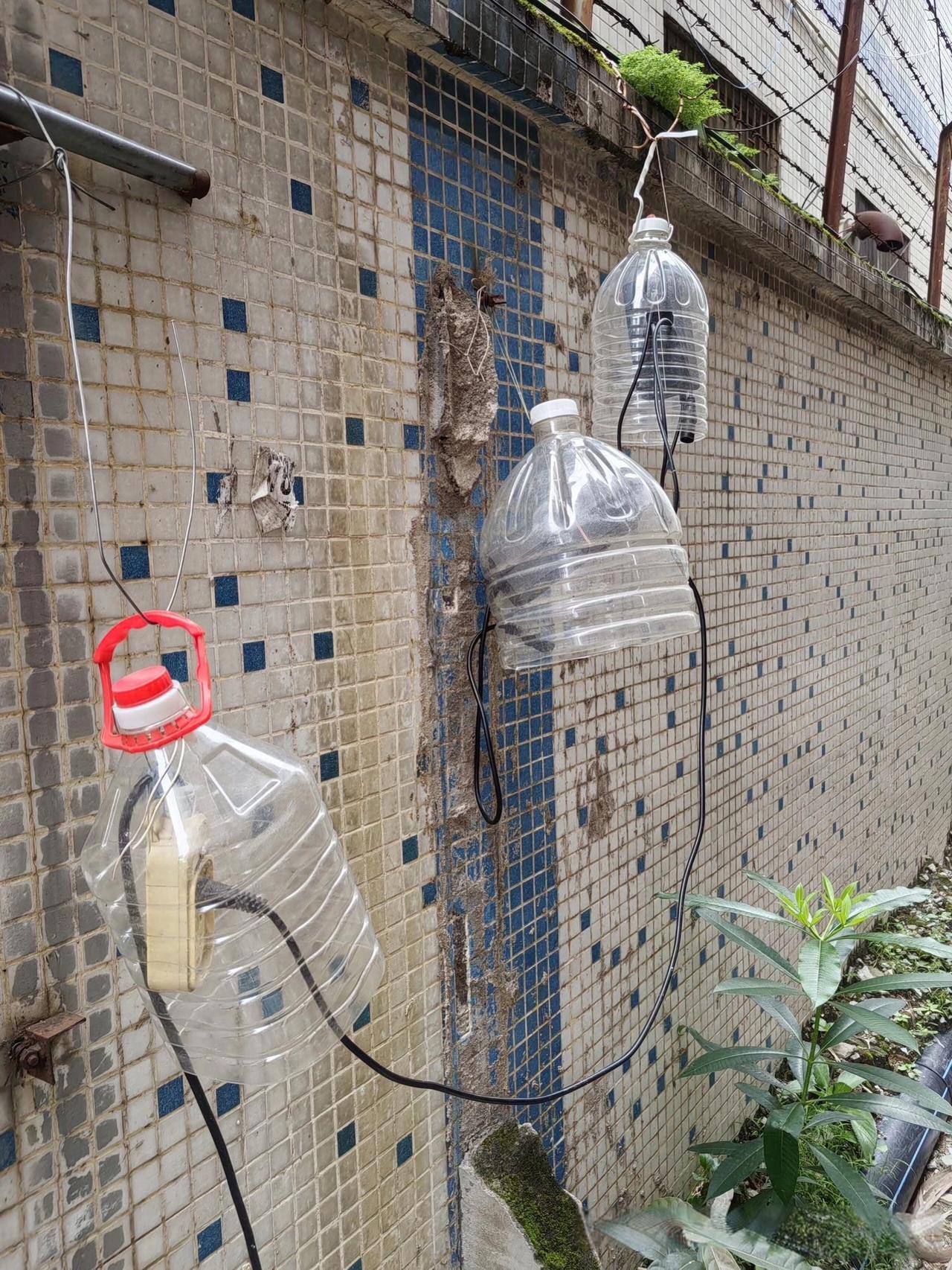 这办法不错