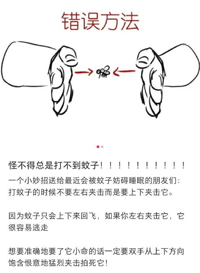 怪不得总打不到蚊子学习了！应该上下拍但我很多时候就是徒手一抓直接把蚊子攥手里